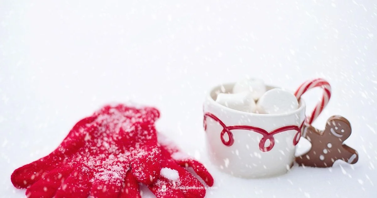 Winter Humidity Guide - HumidifierBasics