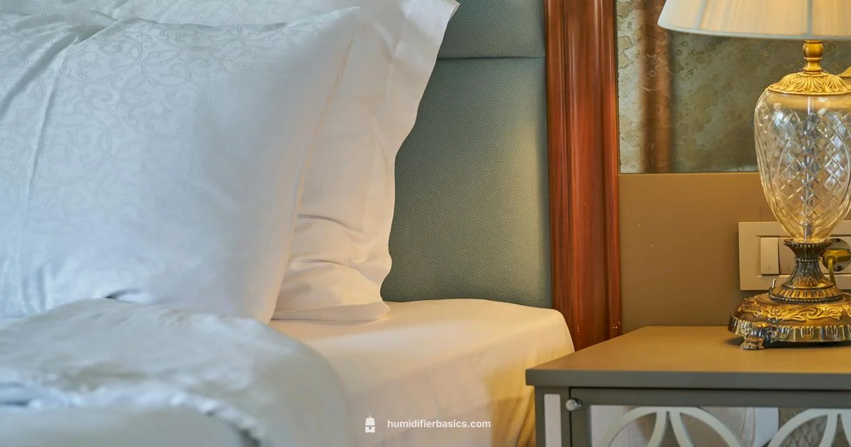 Easy Humidifier Care - HumidifierBasics