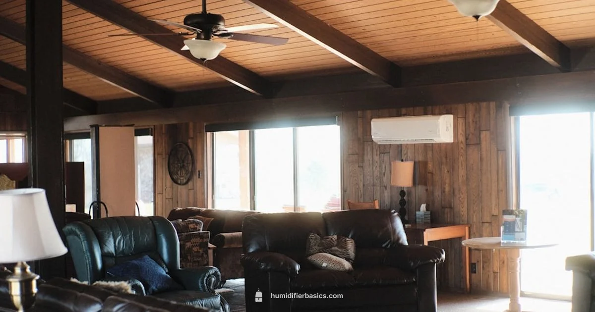 Set Humidifier Correctly - HumidifierBasics