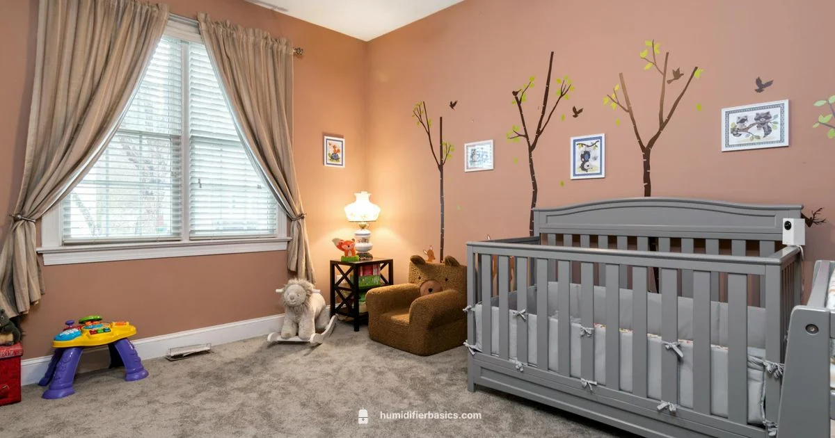 Best Baby Humidifier - HumidifierBasics