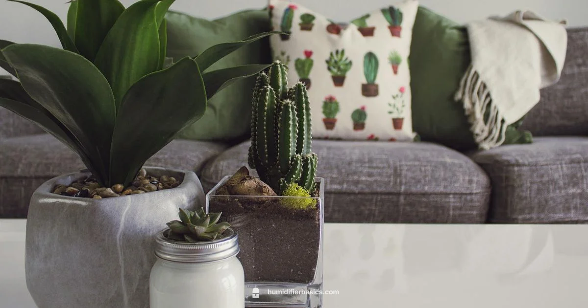 Allergy Safe Humidifier - HumidifierBasics