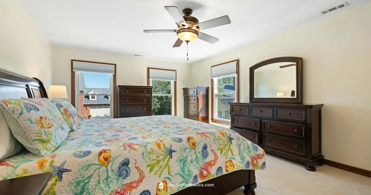 Canopy Cleaning - HumidifierBasics