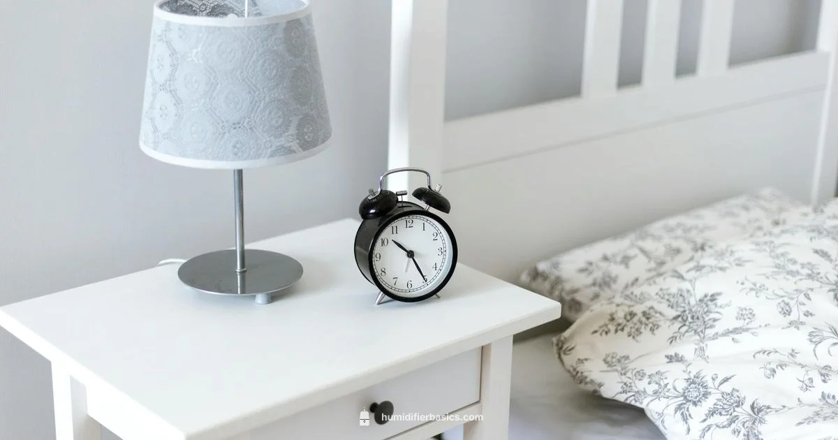 Humidifier Safety Guide - HumidifierBasics