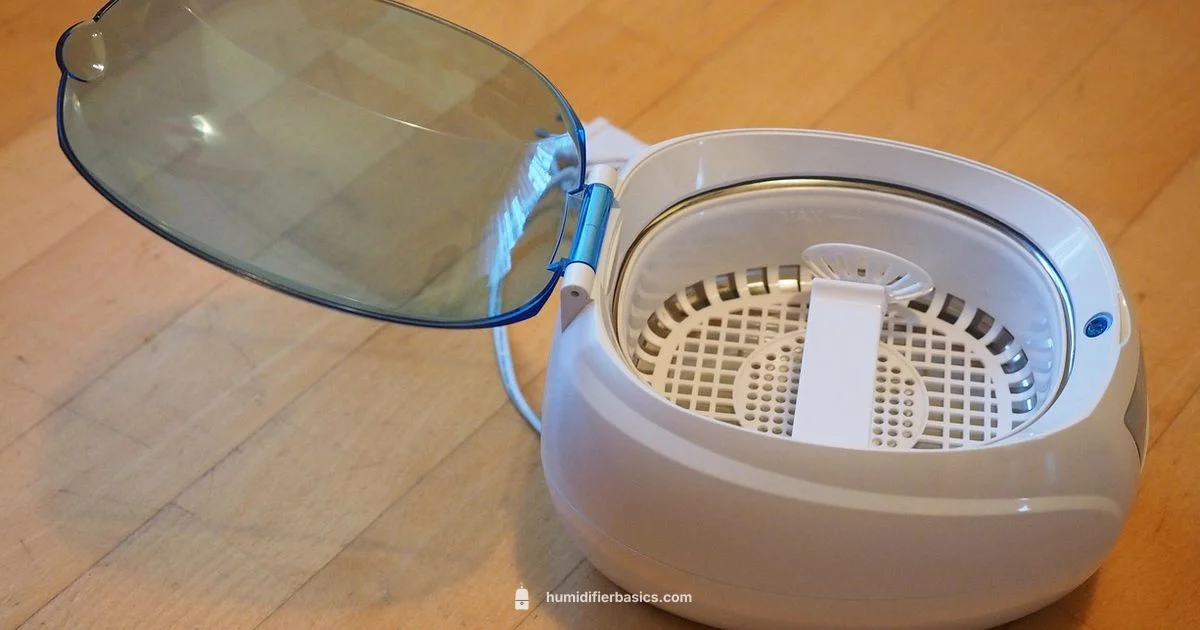 Humidifier Mist Guide - HumidifierBasics