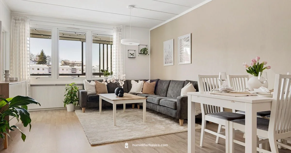 Best Evaporative Picks - HumidifierBasics