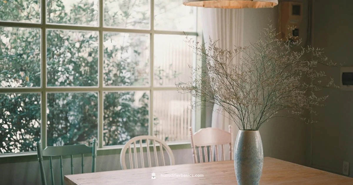 Humidity Made Simple - HumidifierBasics