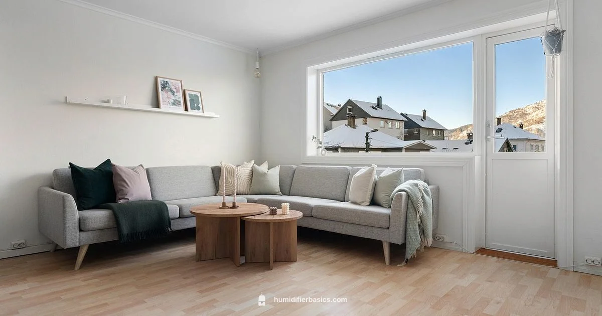 AC & Humidifier Guide - HumidifierBasics