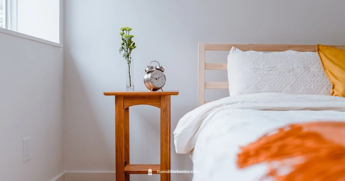 Blue Humidifier Guide - HumidifierBasics