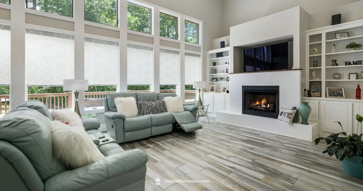 Humidifier vs Dehumidifier - HumidifierBasics