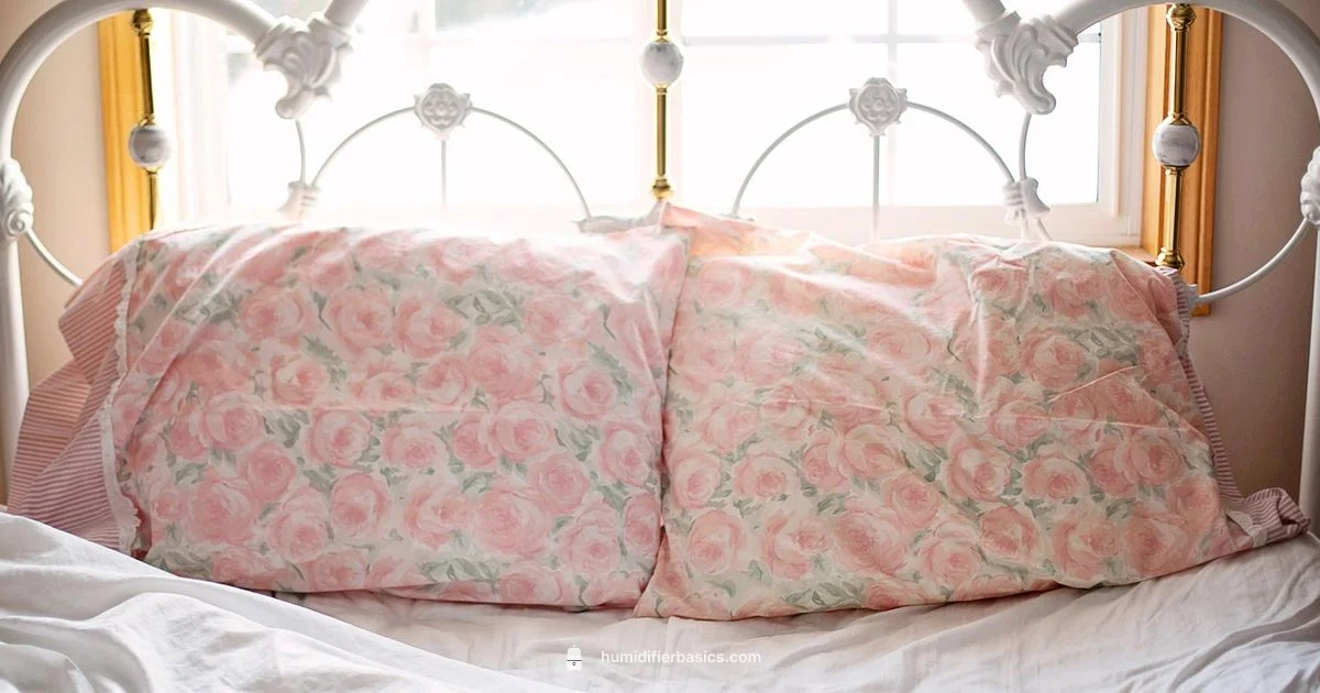 Humidifier Guide 2026 - HumidifierBasics
