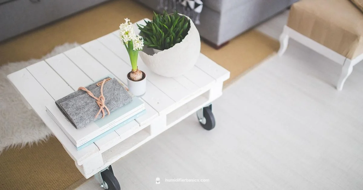 Ultrasound Humidifier Guide - HumidifierBasics