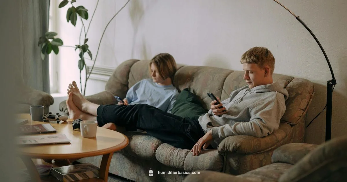 500 sq ft Guide - HumidifierBasics