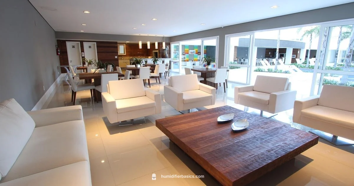 Balanced Indoor Air - HumidifierBasics