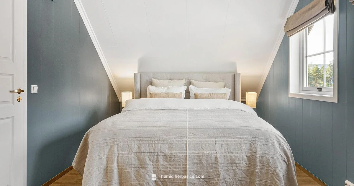 Humidity Basics - HumidifierBasics