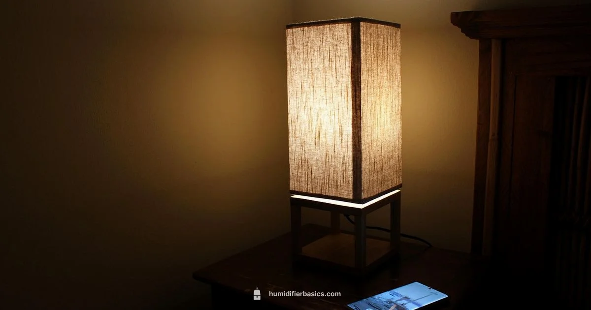 Smart Humidity Setup - HumidifierBasics