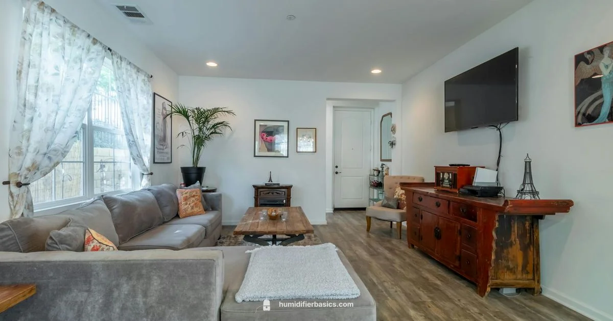 Humidifier Basics - HumidifierBasics