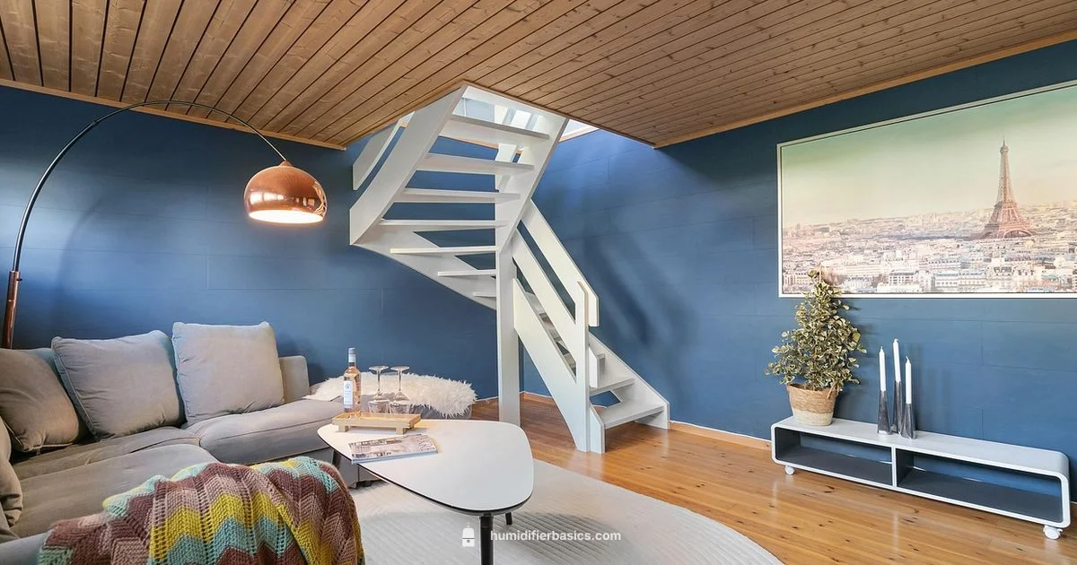 Smart Humidity, Smart Living - HumidifierBasics