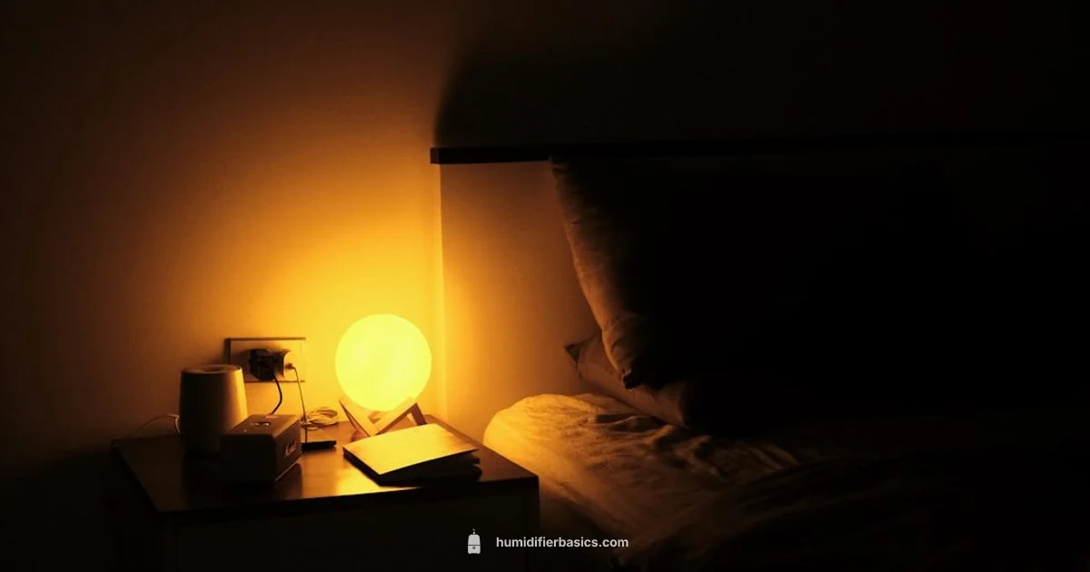 Sized for Comfort - HumidifierBasics