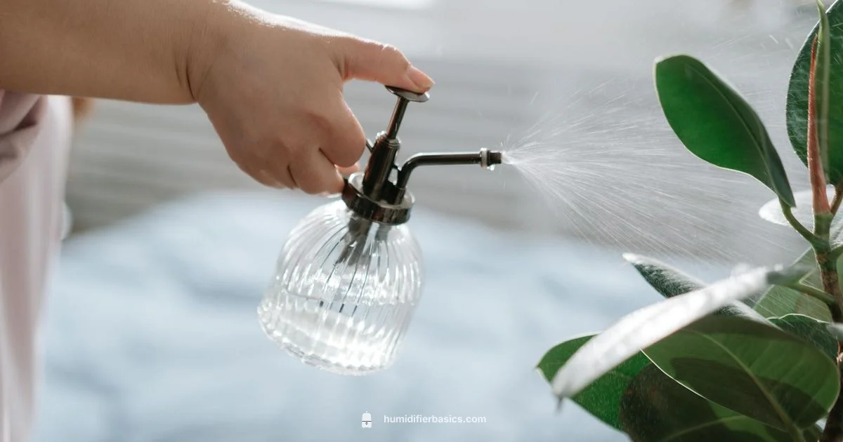 Use a Humidifier - HumidifierBasics