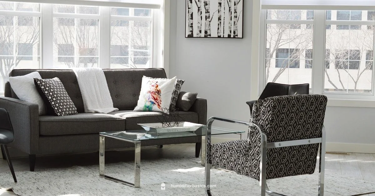 Humidifier Setup - HumidifierBasics