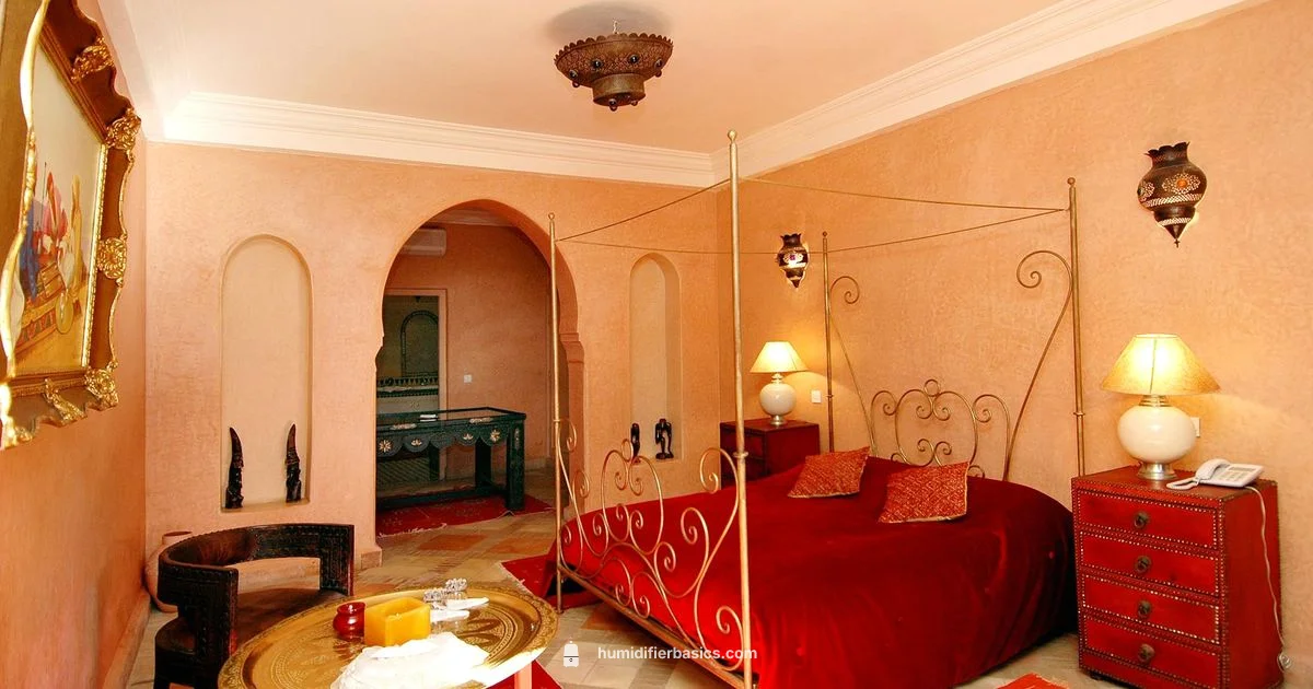 Canopy Humidifier Guide - HumidifierBasics