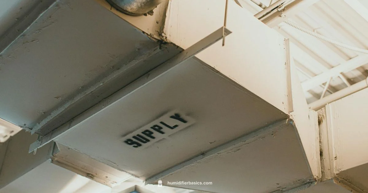 Humidifier in HVAC - HumidifierBasics