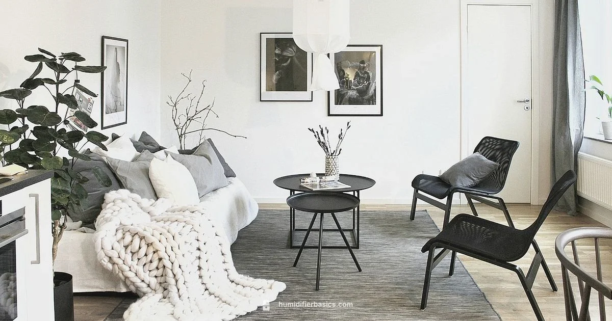 Dyson Purifier Setup - HumidifierBasics