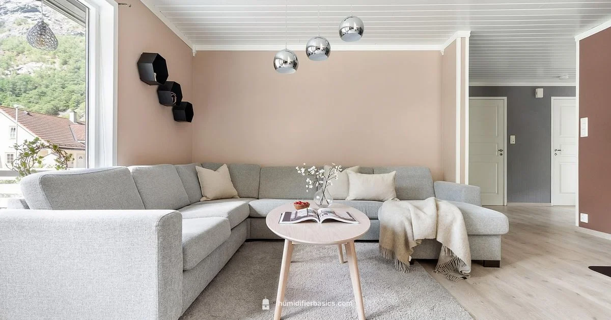 Clean Air, Humidity - HumidifierBasics