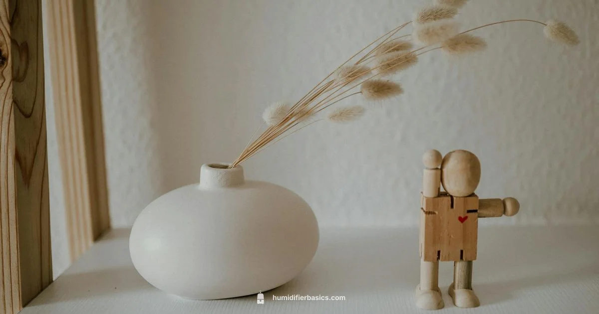 Vitruvi Humidifier - HumidifierBasics