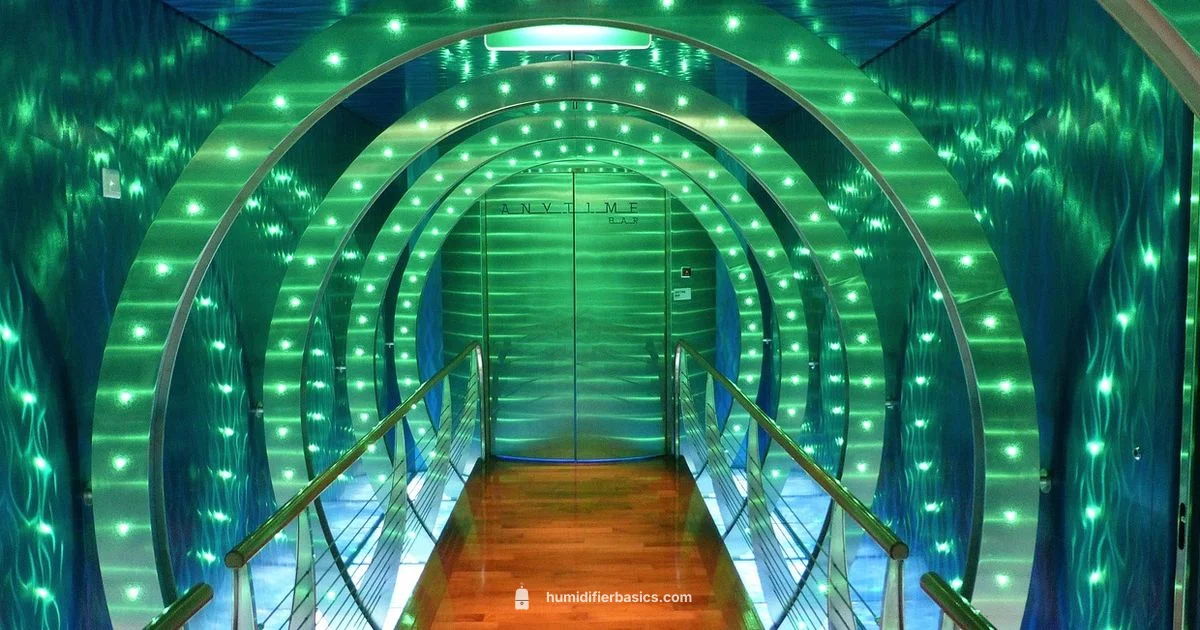 Grow Tent Humidity Guide - HumidifierBasics