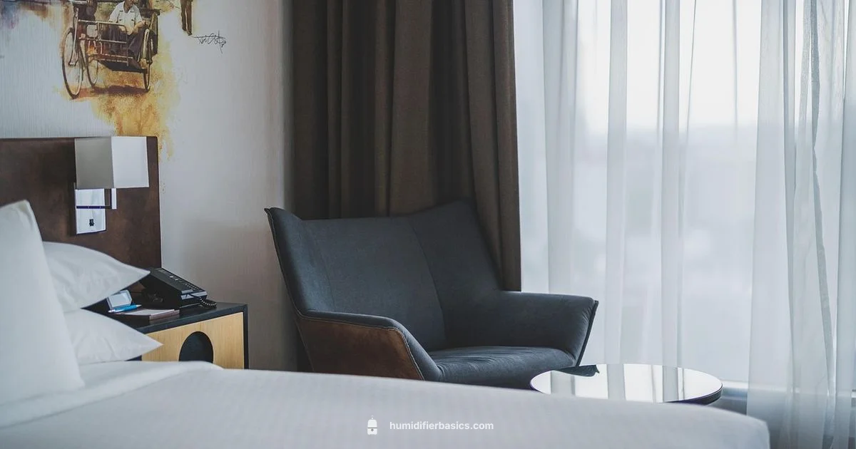 MistAir Review - HumidifierBasics