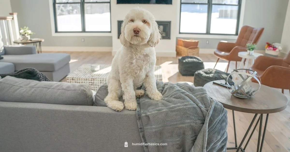 Dog-Friendly Humidity - HumidifierBasics