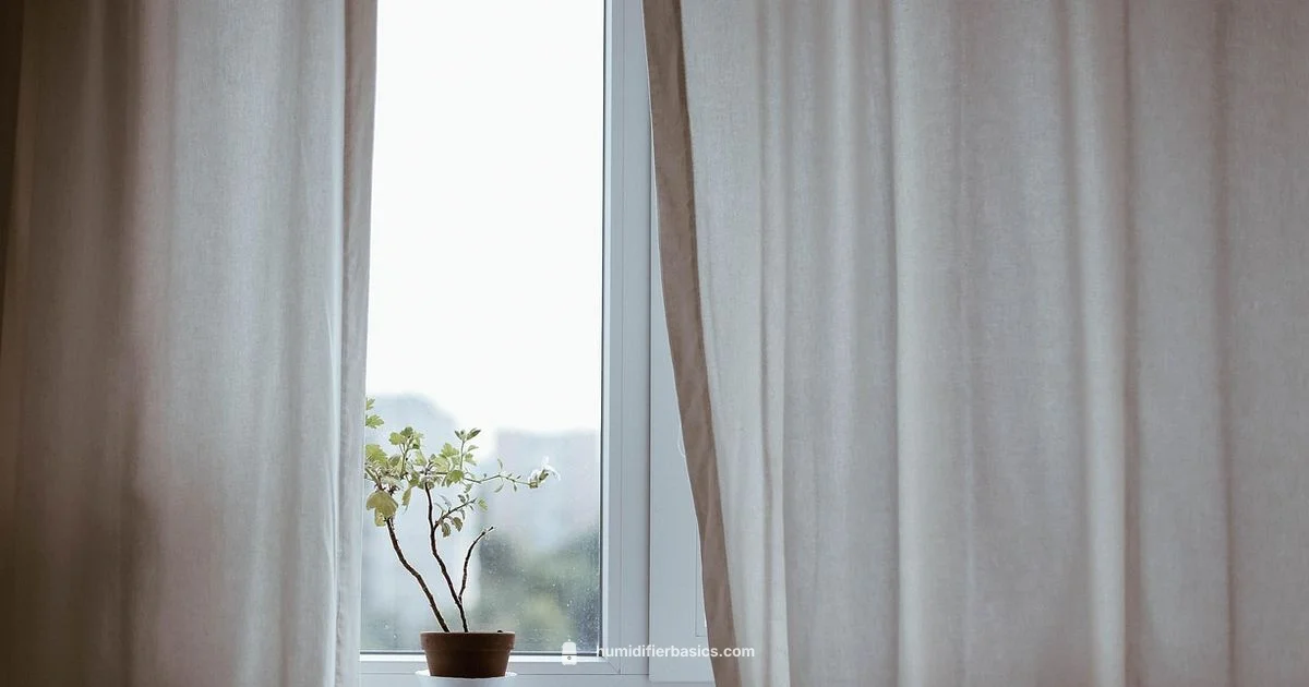 Humidity Essentials - HumidifierBasics