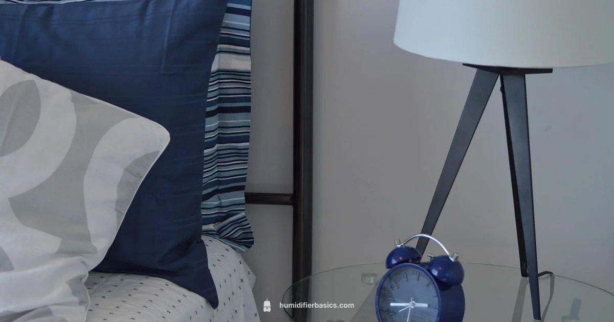 Breathing with Humidity - HumidifierBasics
