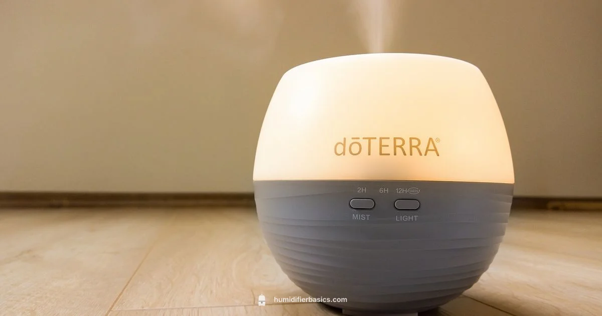 Fragrance in Humidifiers - HumidifierBasics