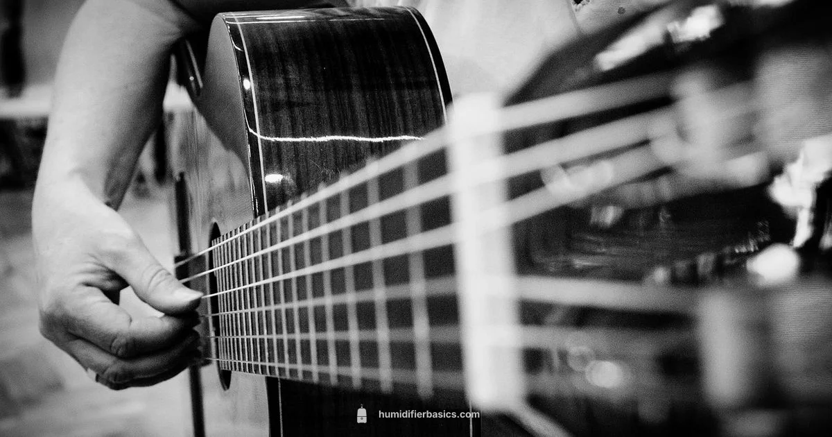 Guitar Room Humidity - HumidifierBasics