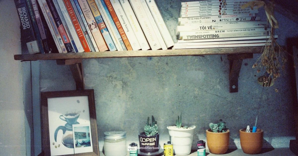 Home Humidifier Guide - HumidifierBasics