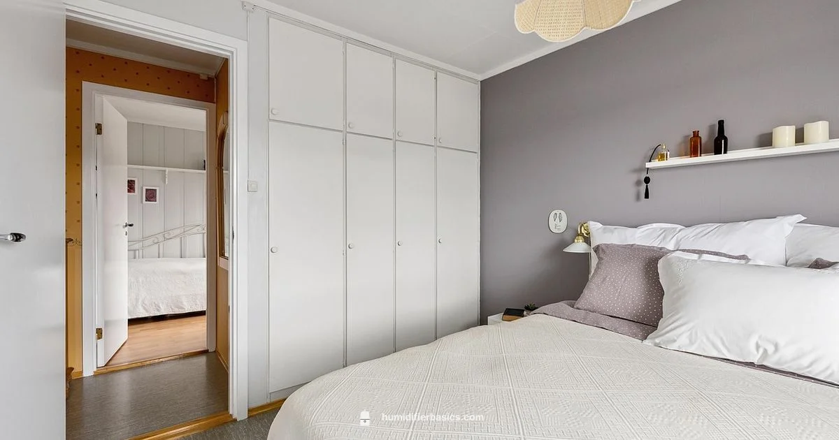 Best Cool Mist Picks - HumidifierBasics