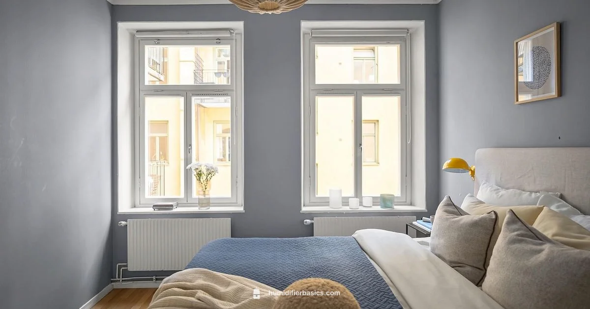 Air Purification Humidifier - HumidifierBasics