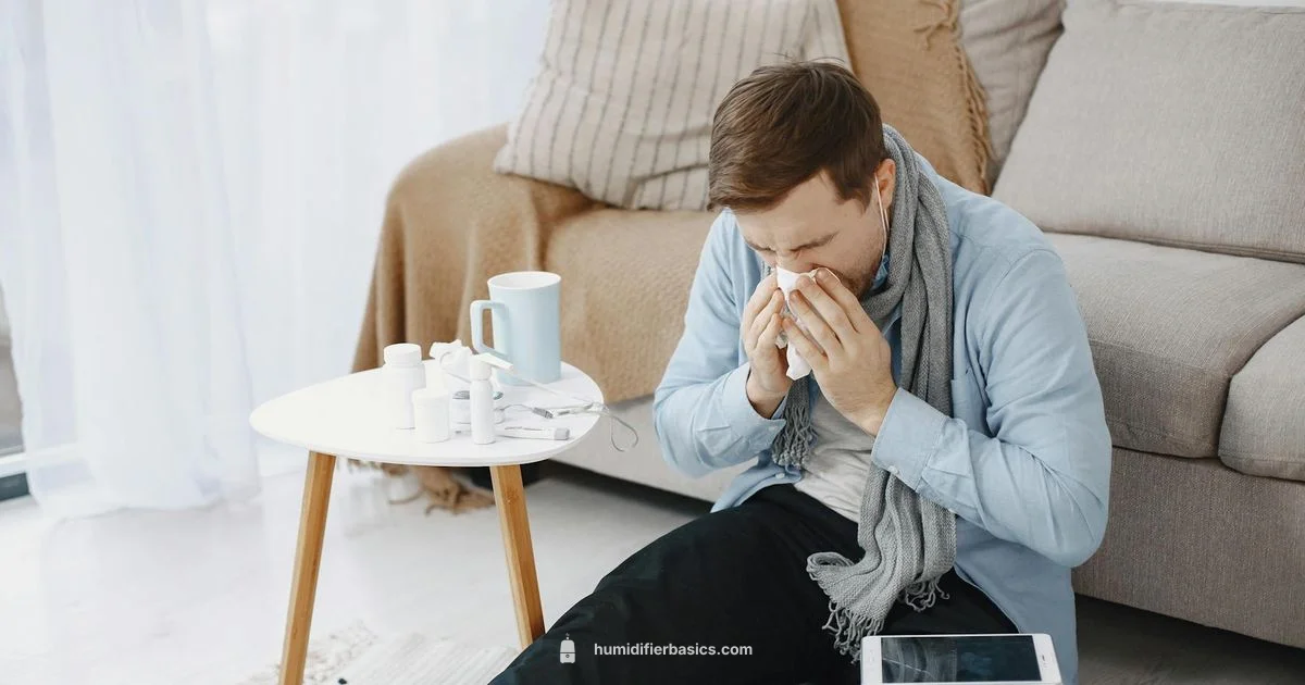 Humidity for Colds - HumidifierBasics