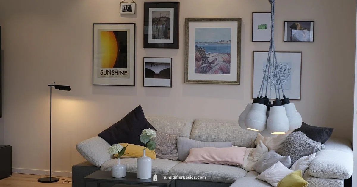 Smart Humidity, Simple Calm - HumidifierBasics