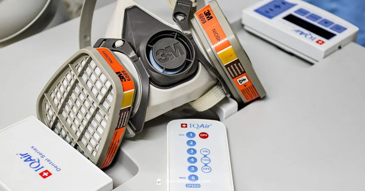 Humidifier vs Purifier - HumidifierBasics