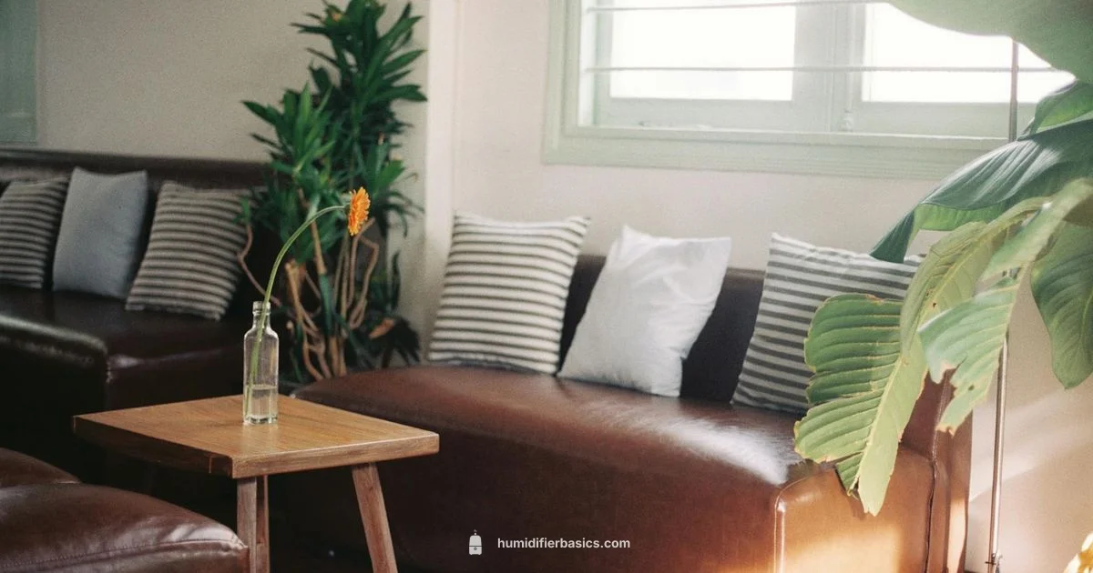 Humidifier Near Me - HumidifierBasics