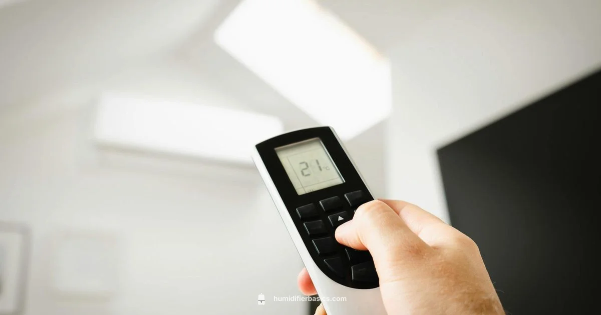 Cool Mist Guide - HumidifierBasics