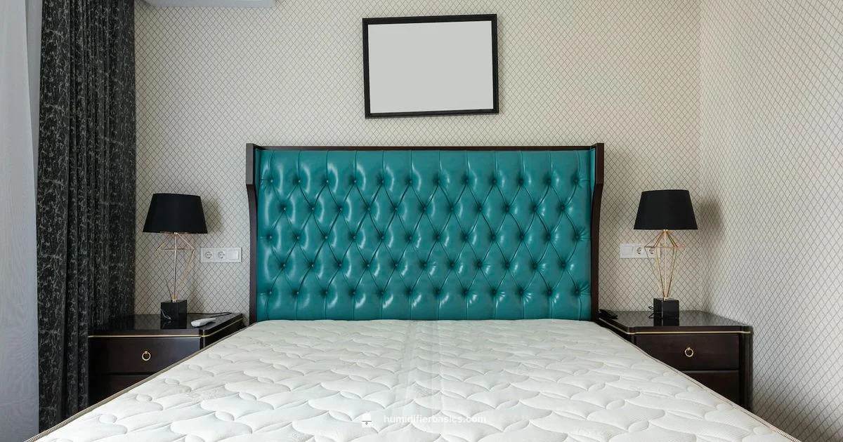 Humidity Choices - HumidifierBasics