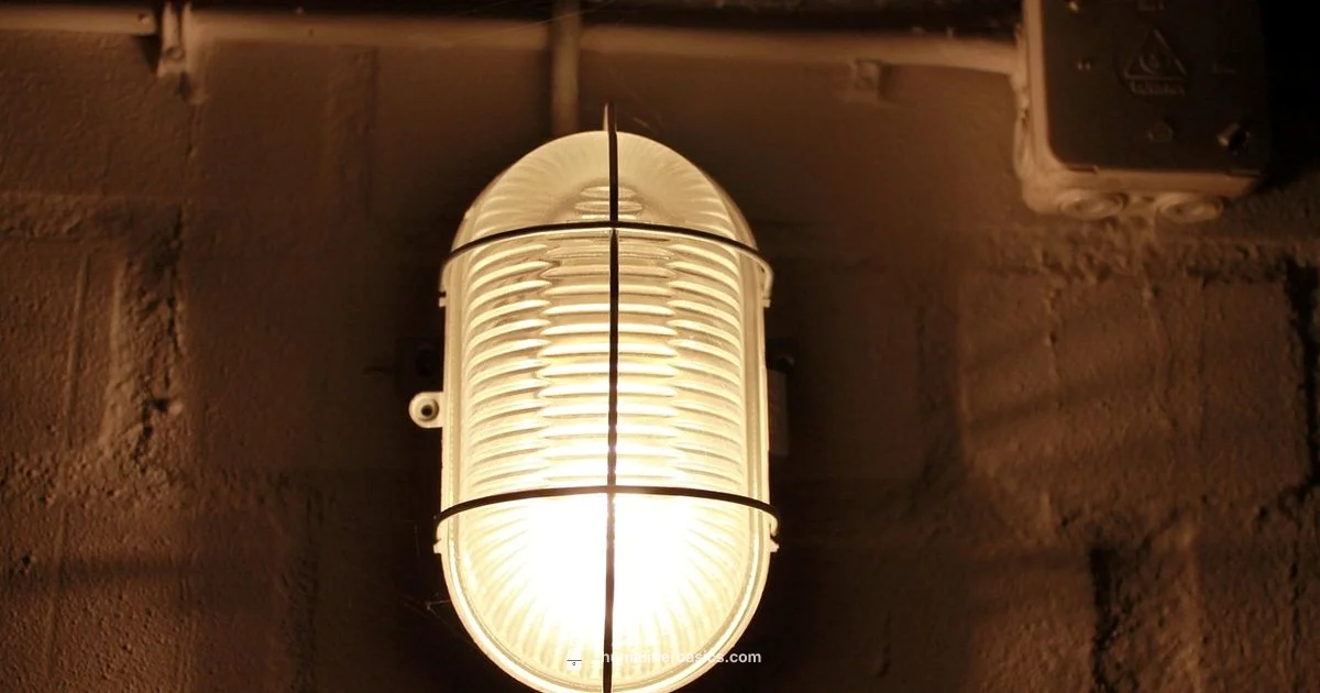 Basement Humidity Guide - HumidifierBasics