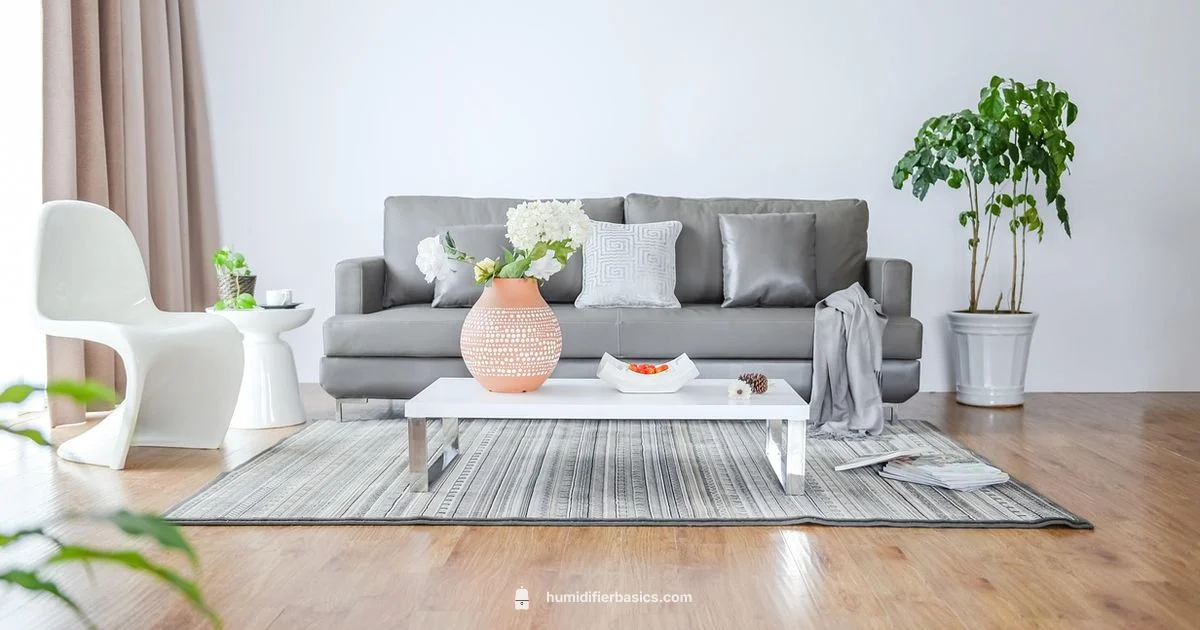 Asthma Humidifier Guide Asthma Humidifier Guide - HumidifierBasics