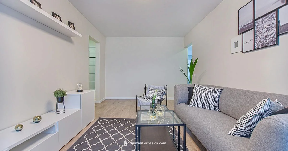 Best Air Humidifier - HumidifierBasics