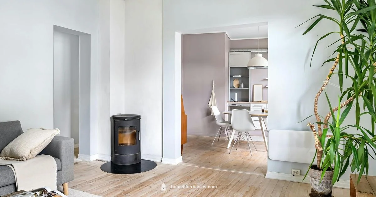 Humidifier Treatment Guide - HumidifierBasics