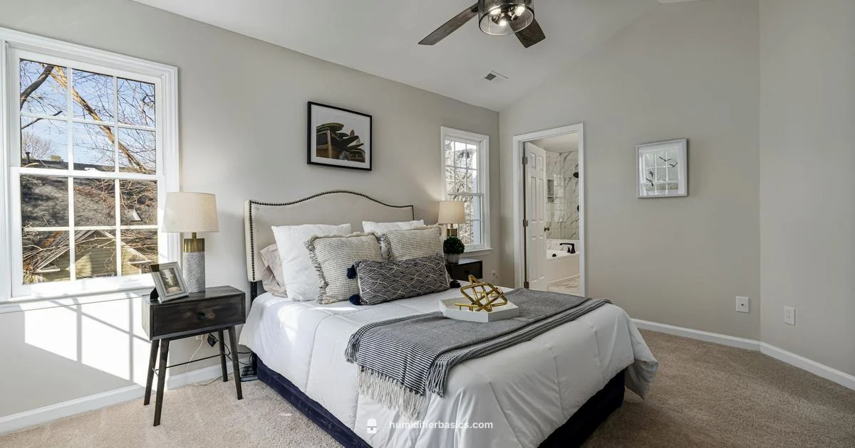 Runny Nose Relief - HumidifierBasics